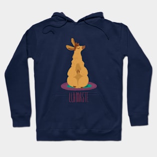 Llamaste Hoodie